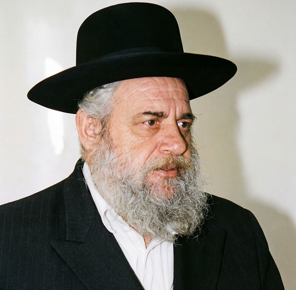 הרב דב לוי